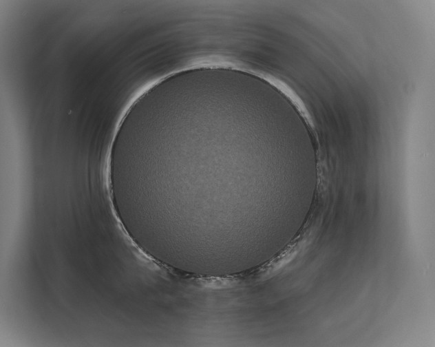 X0000112000815200908101321