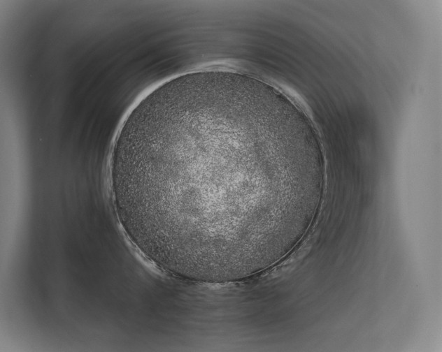 X0000112000816200908101321