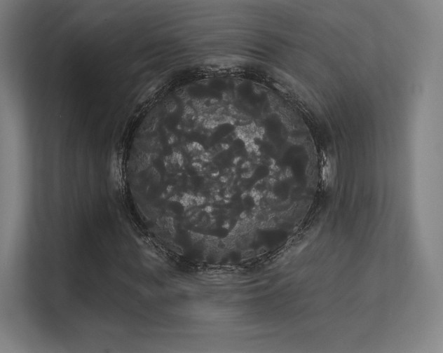 X0000112000819200908101320