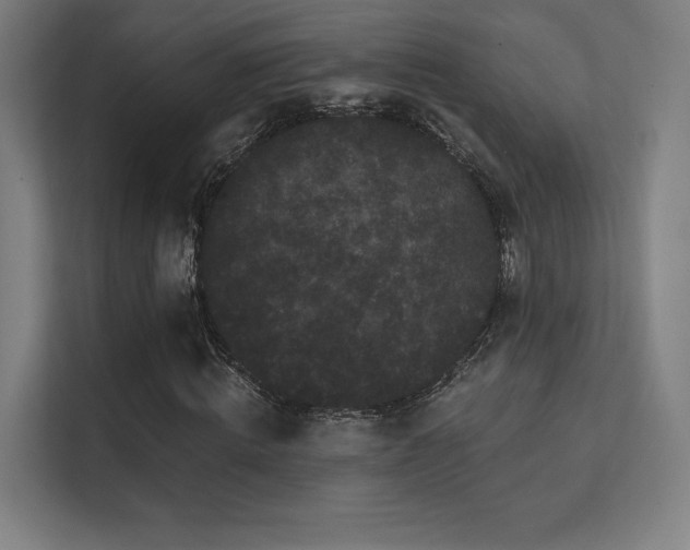 X0000112000820200908101320