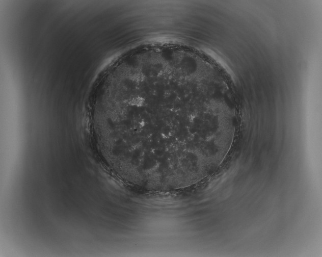 X0000112000823200908101320