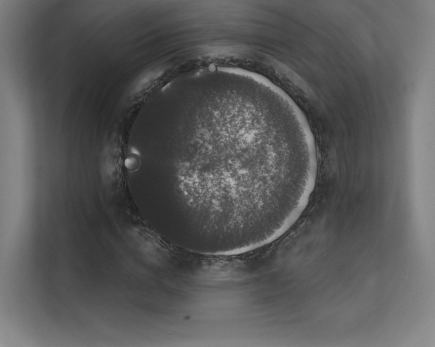 X0000112000824200908101320