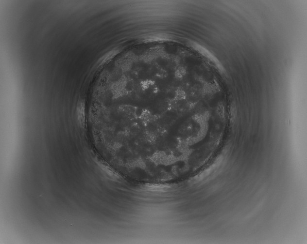 X0000112000825200908101320