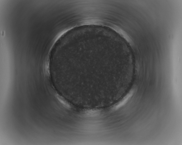 X0000112000830200908101320