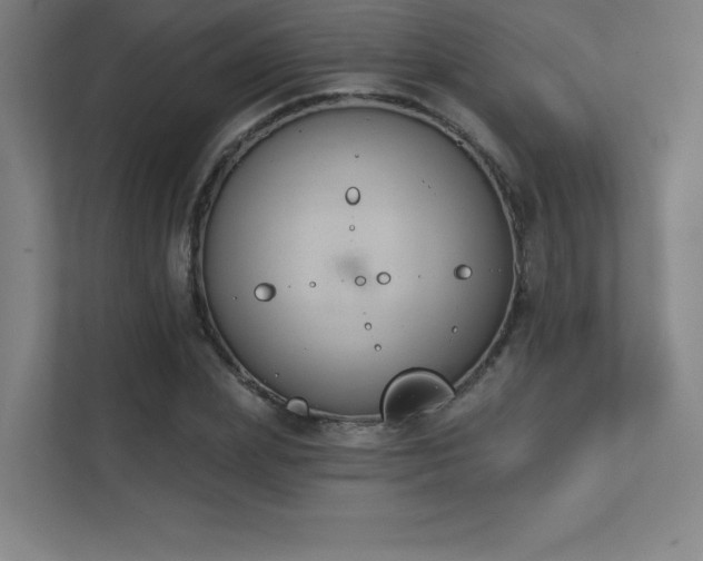 X0000112000831200908101320