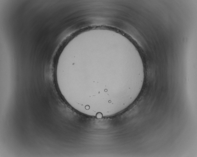 X0000112000832200908101320