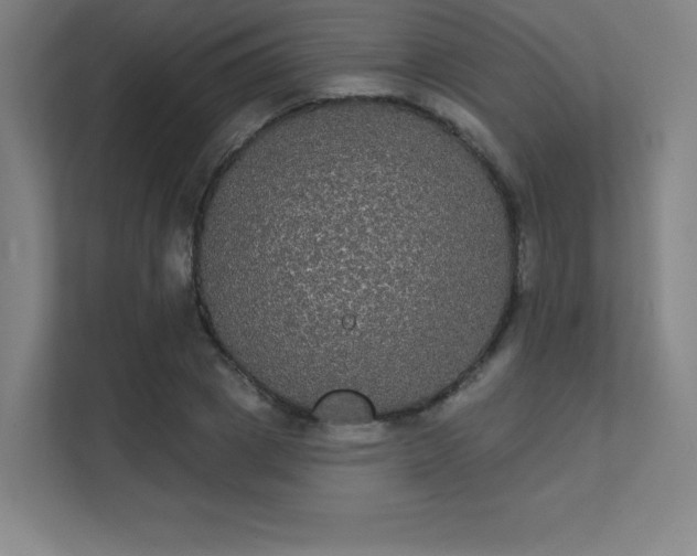 X0000112000833200908101320