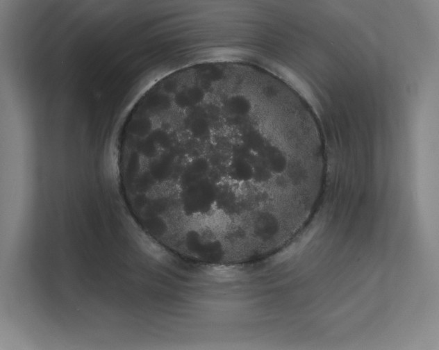 X0000112000835200908101320