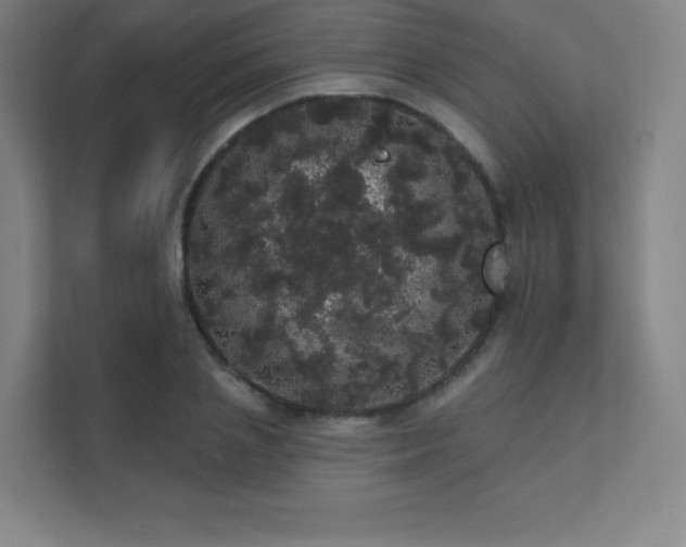 X0000112000837200908101320