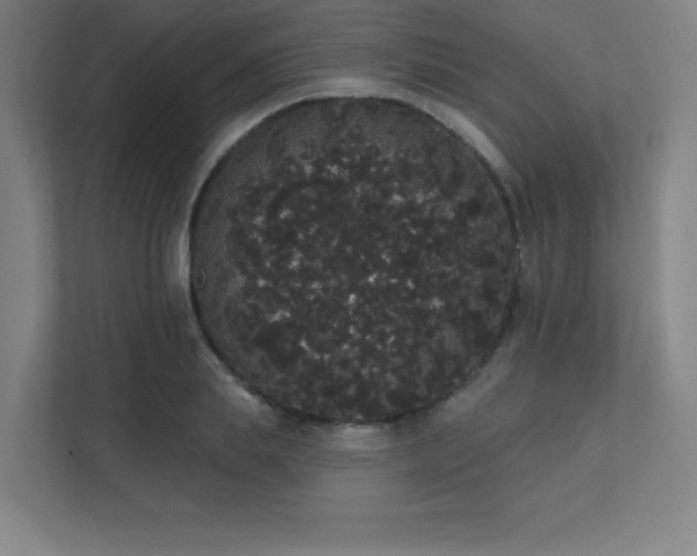 X0000112000839200908101320