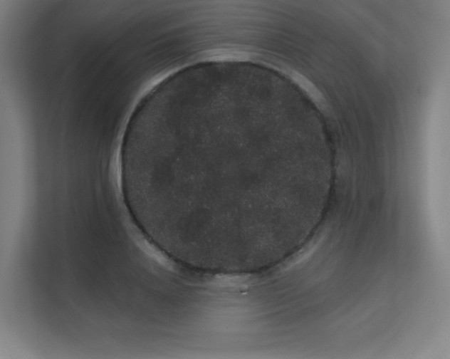 X0000112000840200908101320