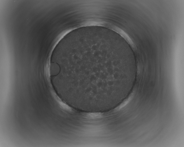 X0000112000844200908101320