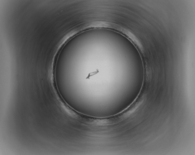 X0000112000845200908101320