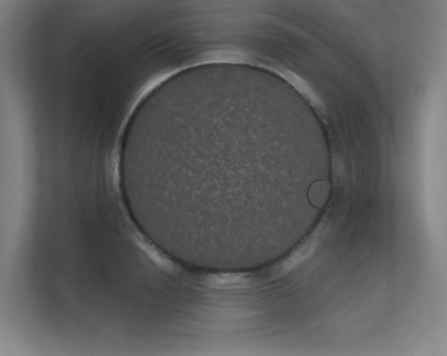 X0000112000846200908101320