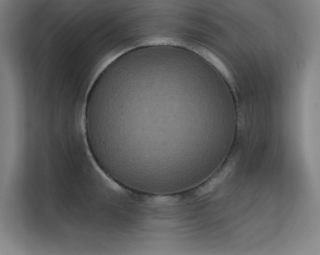 X0000112000847200908101320