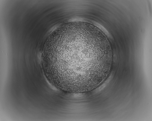 X0000112000849200908101320