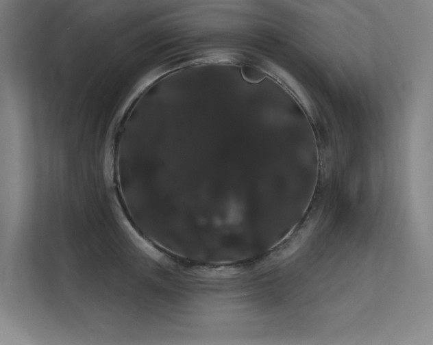 X0000112000851200908101320