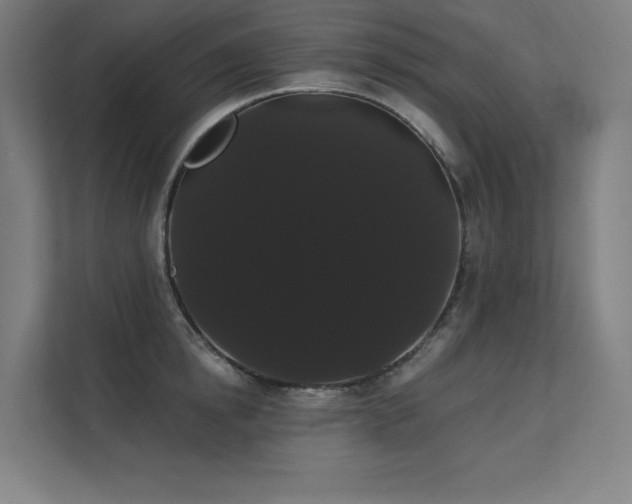 X0000112000854200908101320