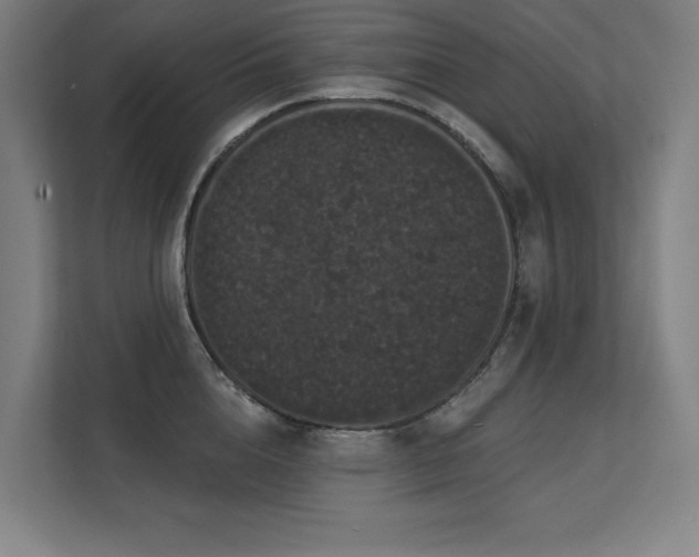 X0000112000856200908101320