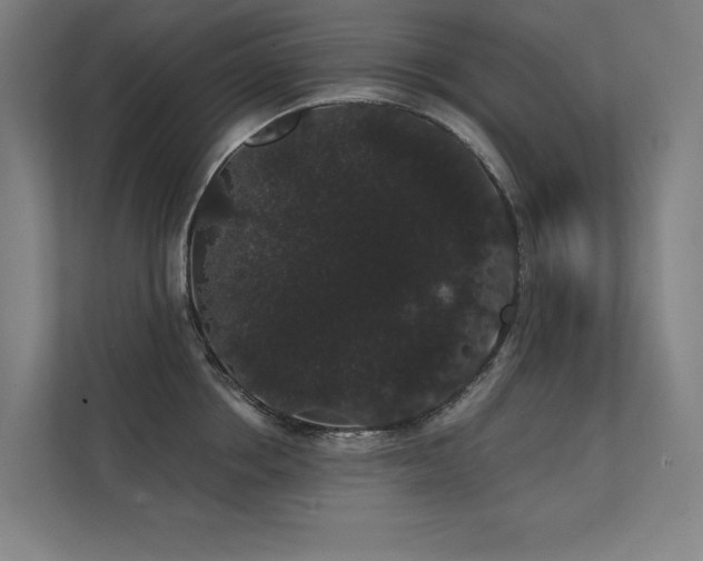 X0000112000858200908101320