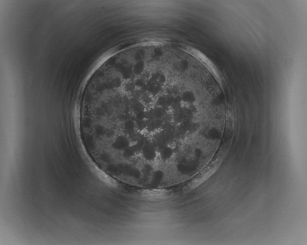 X0000112000859200908101321