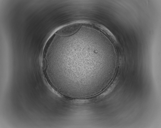 X0000112000860200908101321