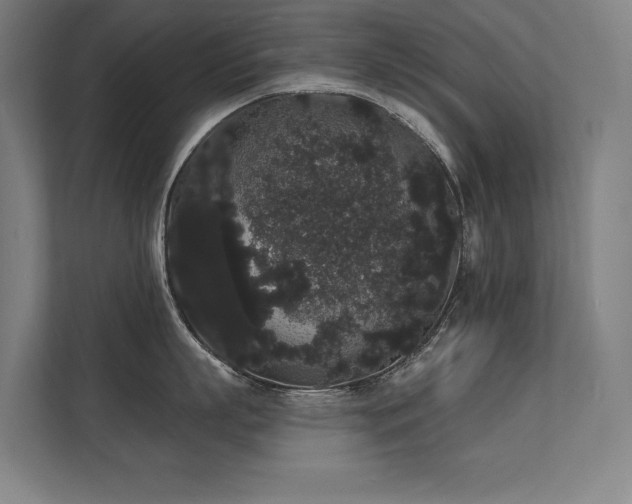 X0000112000863200908101321