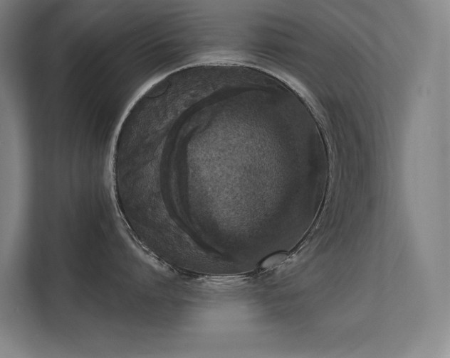 X0000112000864200908101321