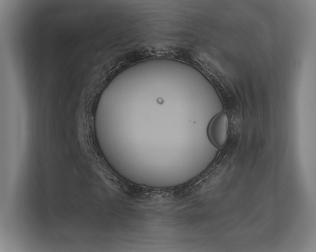 X0000112000865200908101320