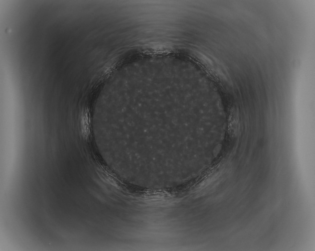 X0000112000866200908101320