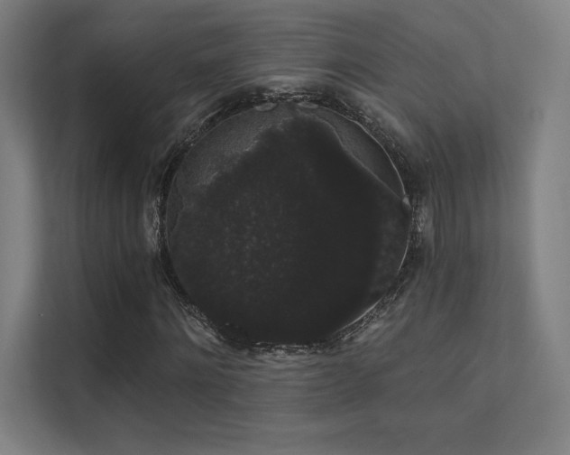 X0000112000868200908101320