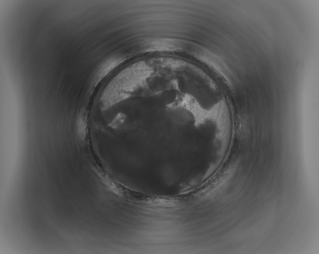 X0000112000874200908101320