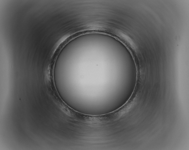 X0000112000875200908101320