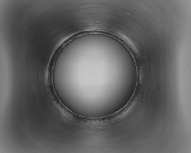 X0000112000876200908101320