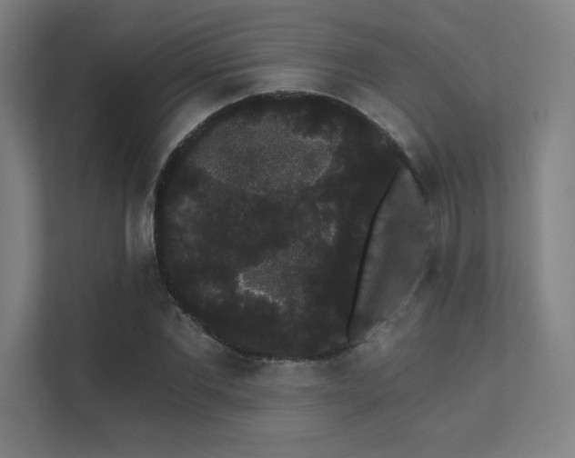 X0000112000877200908101320