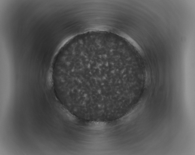 X0000112000878200908101320