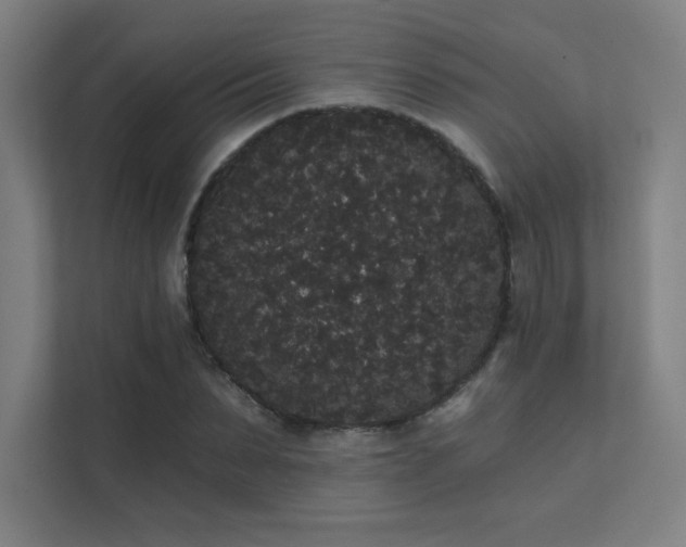 X0000112000879200908101320