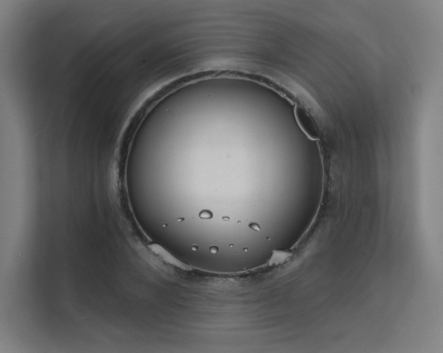 X0000112000880200908101320