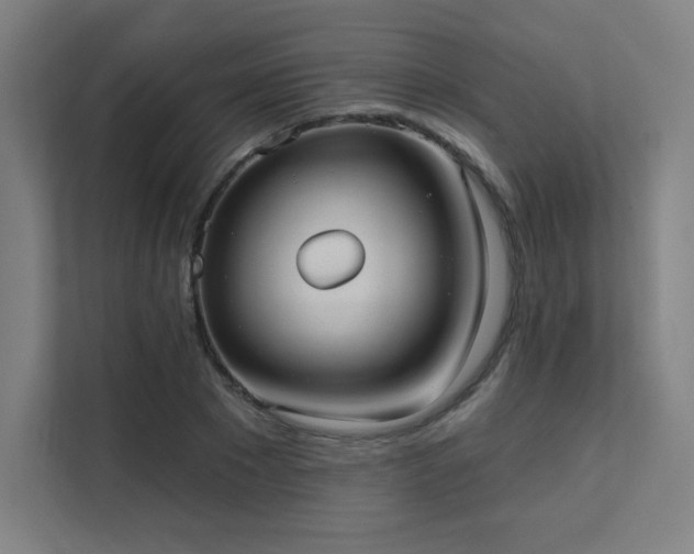 X0000112000881200908101320