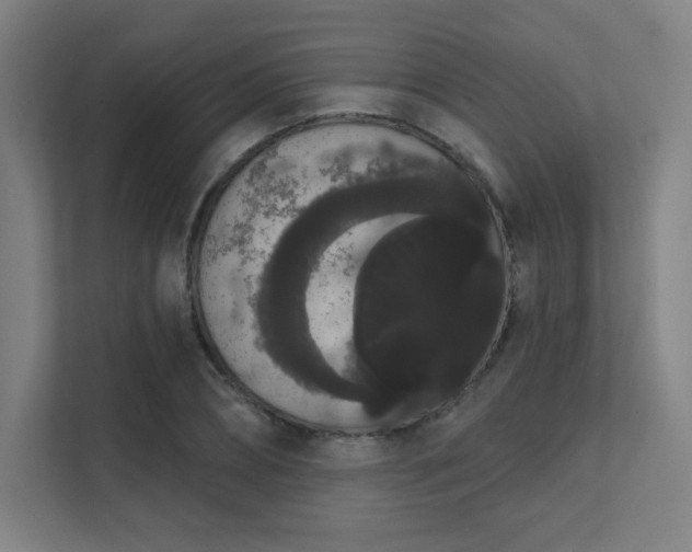 X0000112000882200908101320