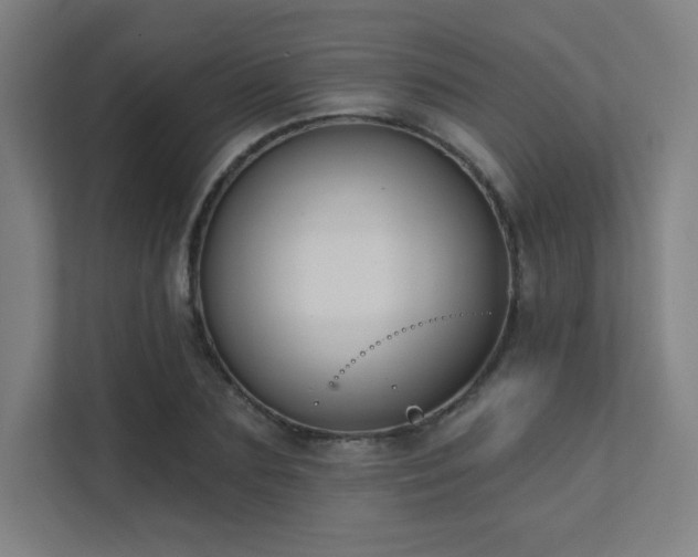 X0000112000883200908101320