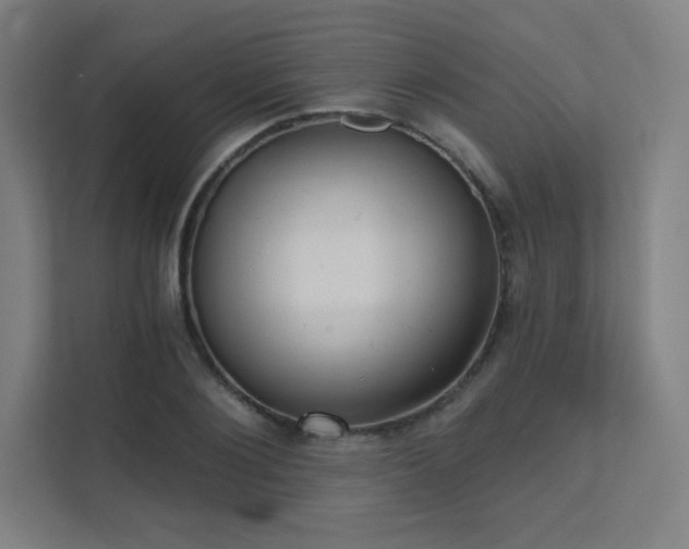 X0000112000884200908101320