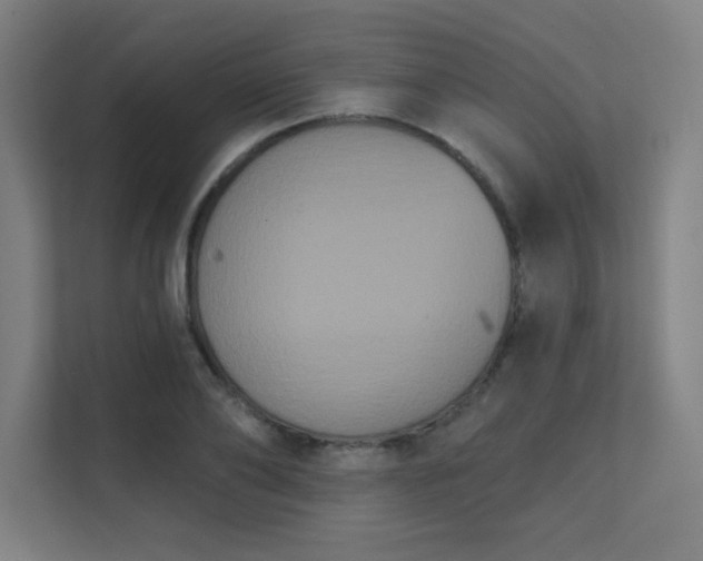 X0000112000886200908101320