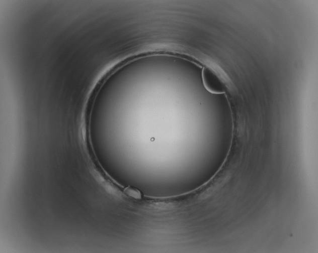 X0000112000888200908101320