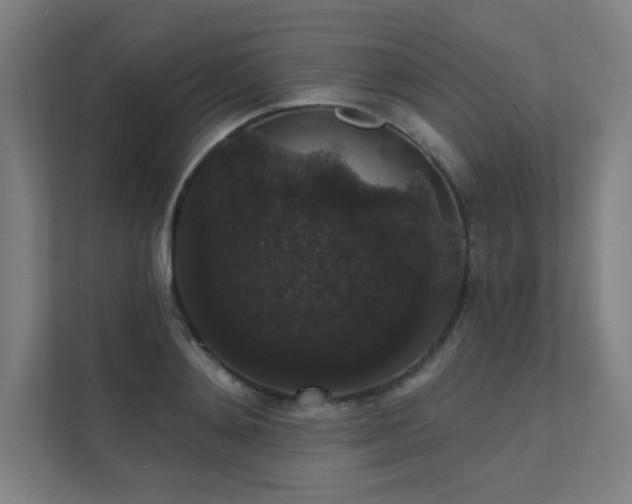 X0000112000892200908101320