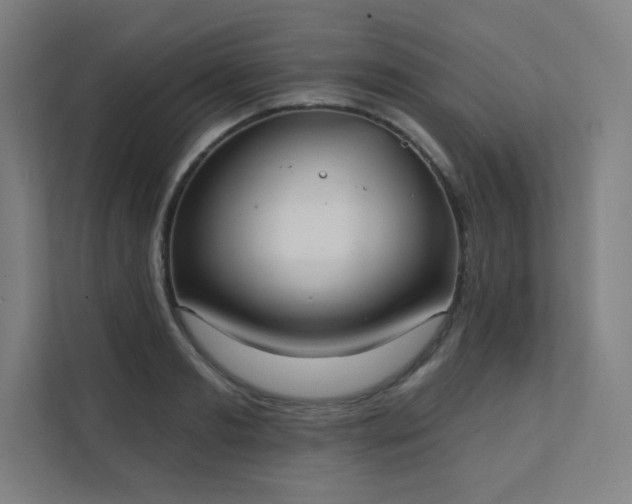 X0000112000893200908101320