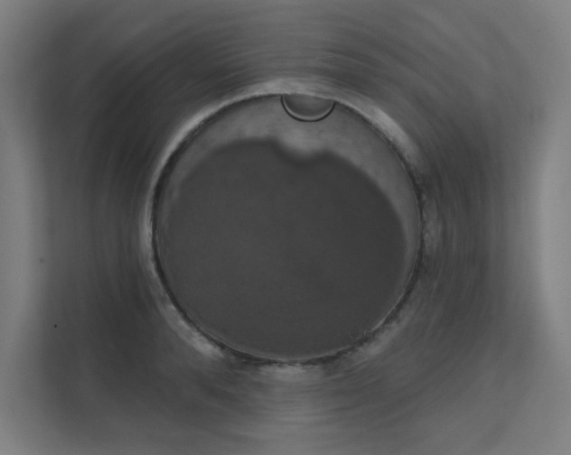 X0000112000896200908101320