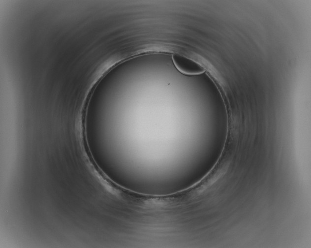 X0000112000898200908101320