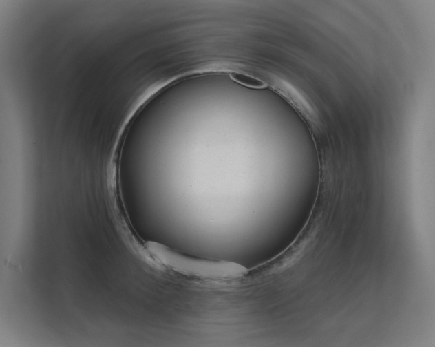 X0000112000900200908101319