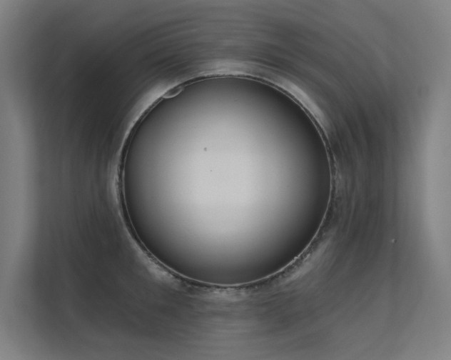 X0000112000901200908101319